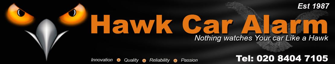 Hawk-inside-banner-(car)